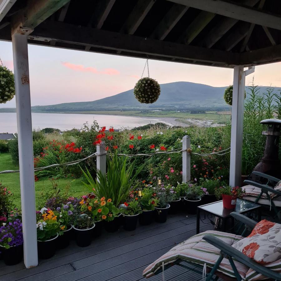 The Plough B&B Ventry Exterior foto