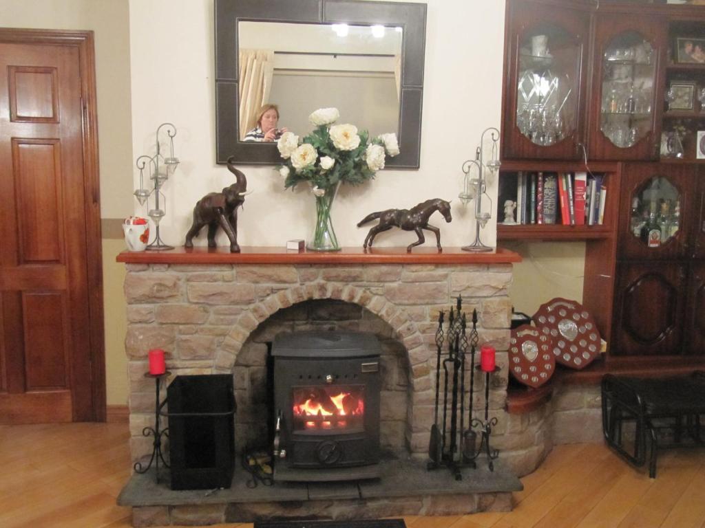 The Plough B&B Ventry Exterior foto
