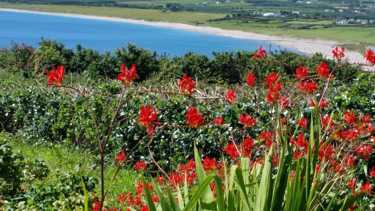The Plough B&B Ventry Exterior foto