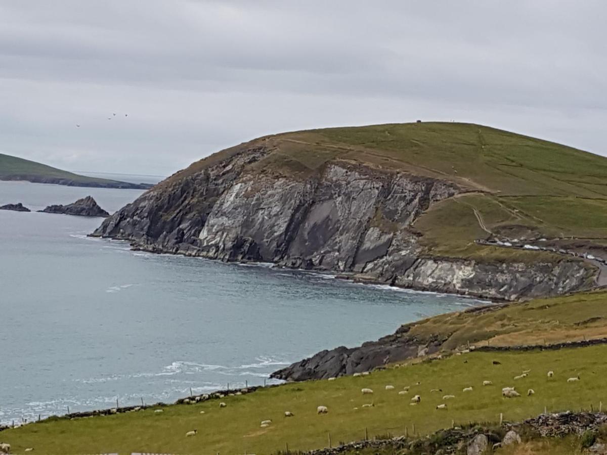 The Plough B&B Ventry Exterior foto
